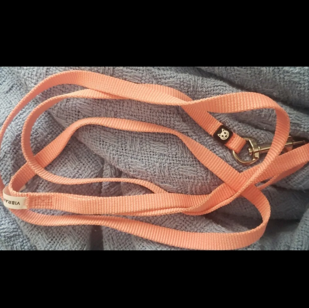 Vibrant Life Cat Harnesses Leash